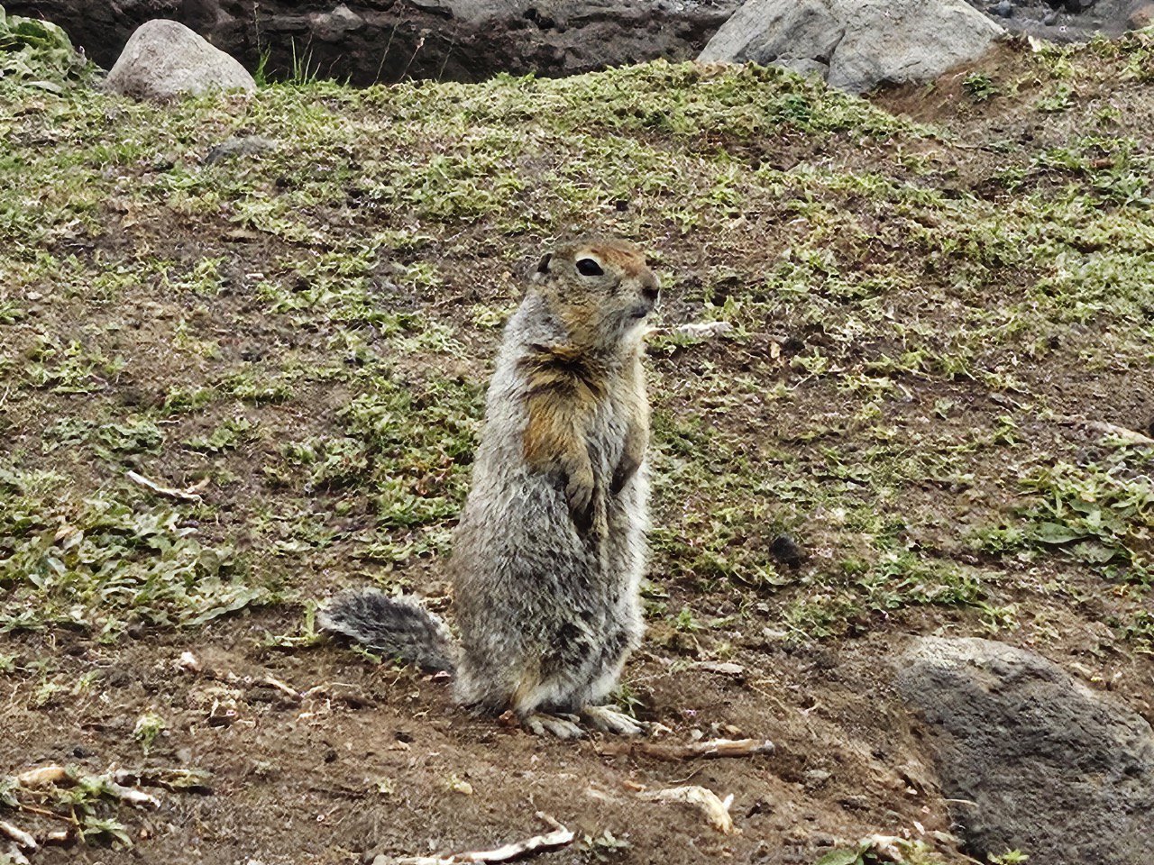 Активный тур на Камчатку с комфортом (23/29)