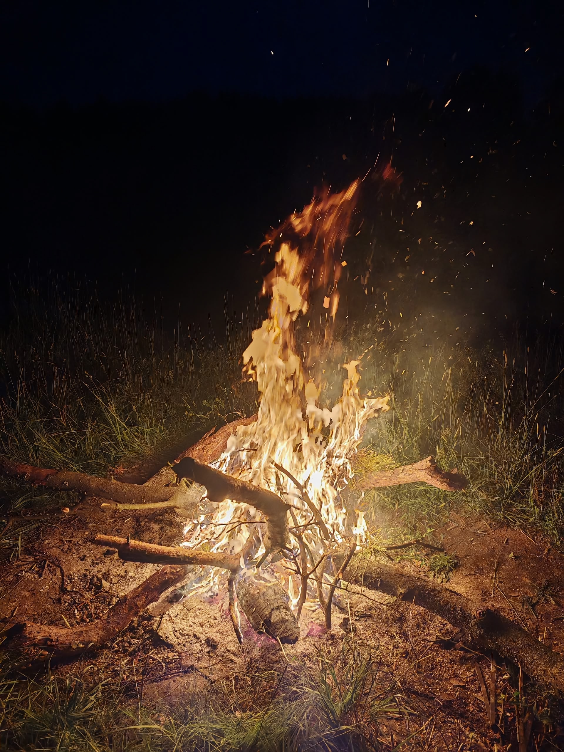 Сплав на байдарках по реке Киржач (8/15)