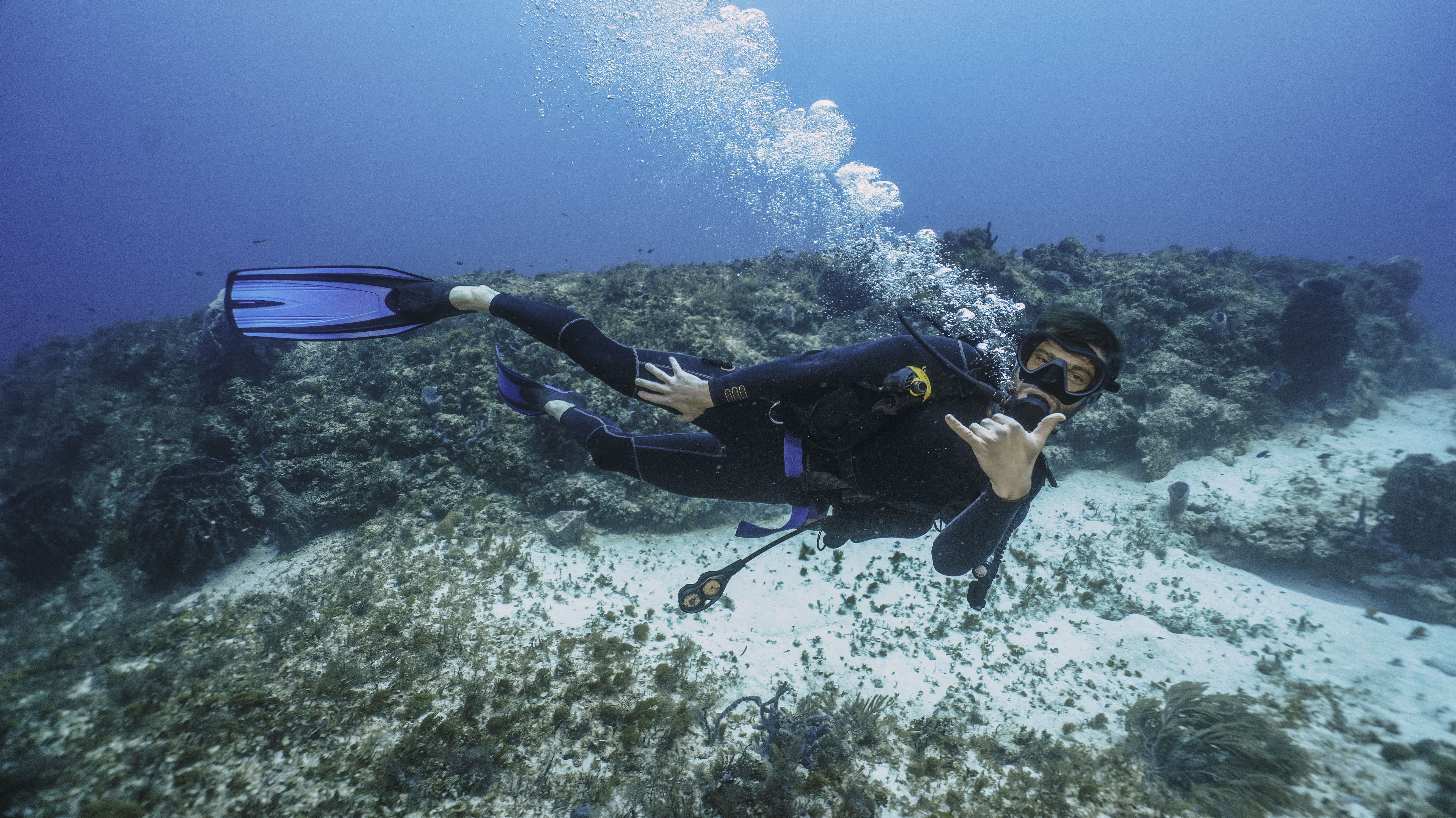 Средиземное море изнутри: дайвинг в Аланье (2/8)