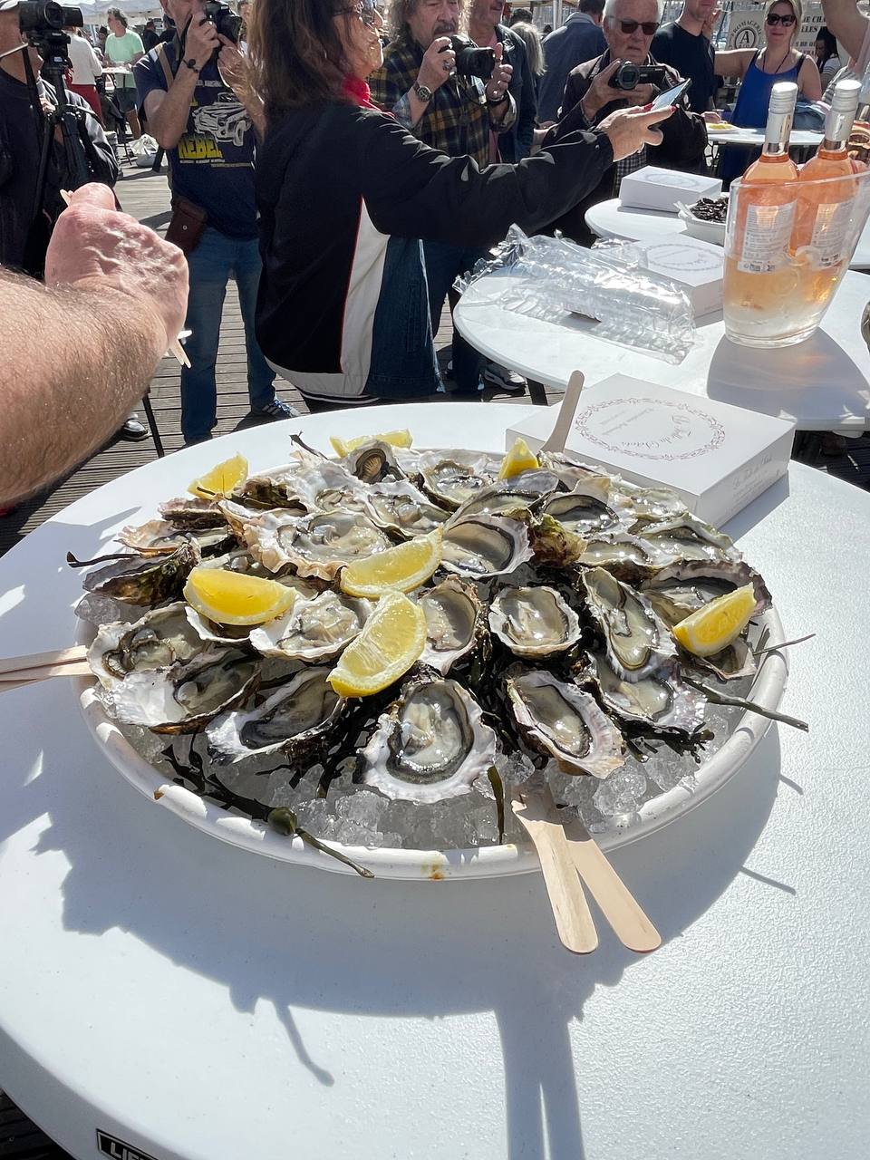 Юг Франции: вино, устрицы и средневековые города. (16/17)