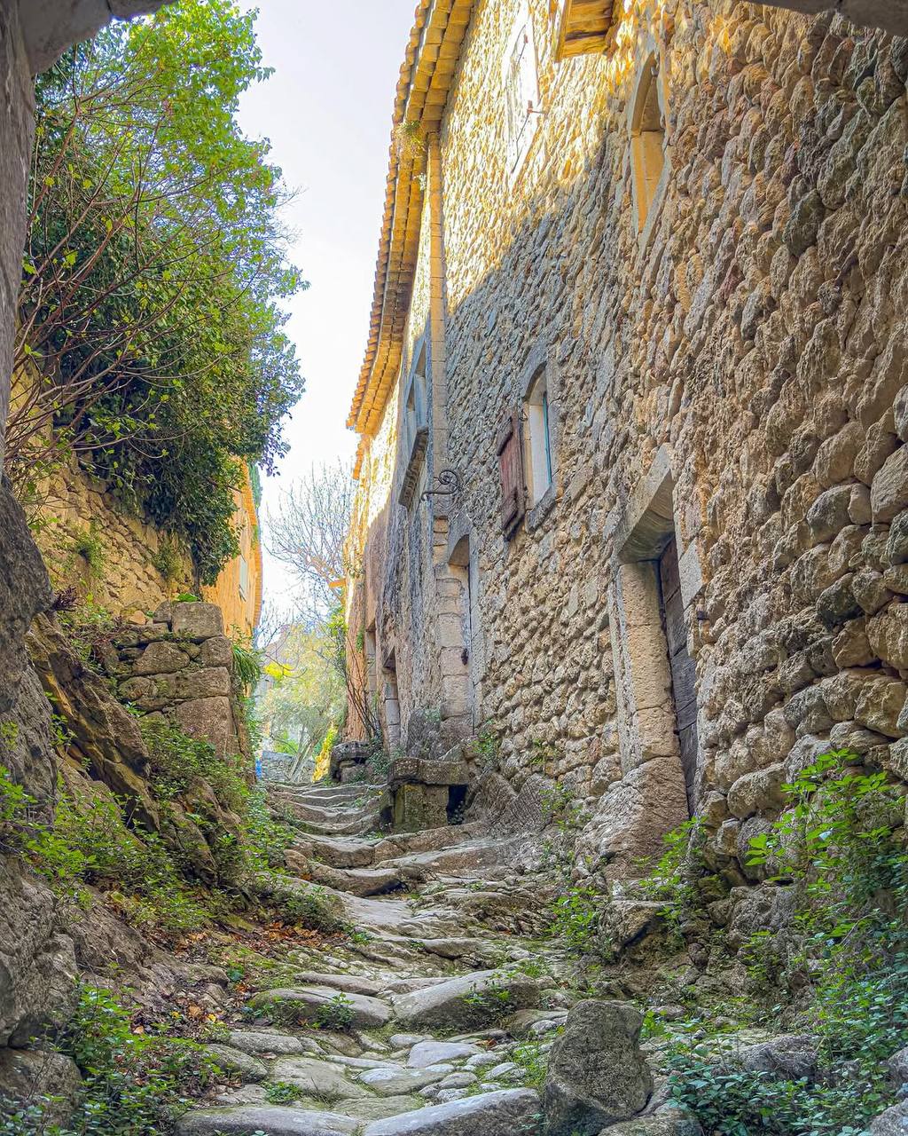 Юг Франции: вино, устрицы и средневековые города.