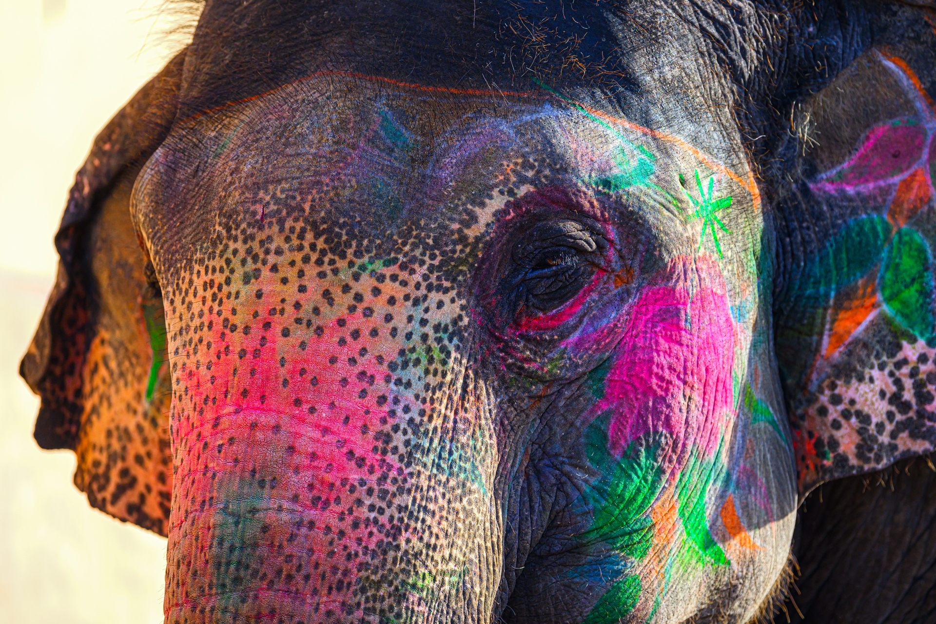 Золотой треугольник + Варанаси + праздник Холи (15/54)