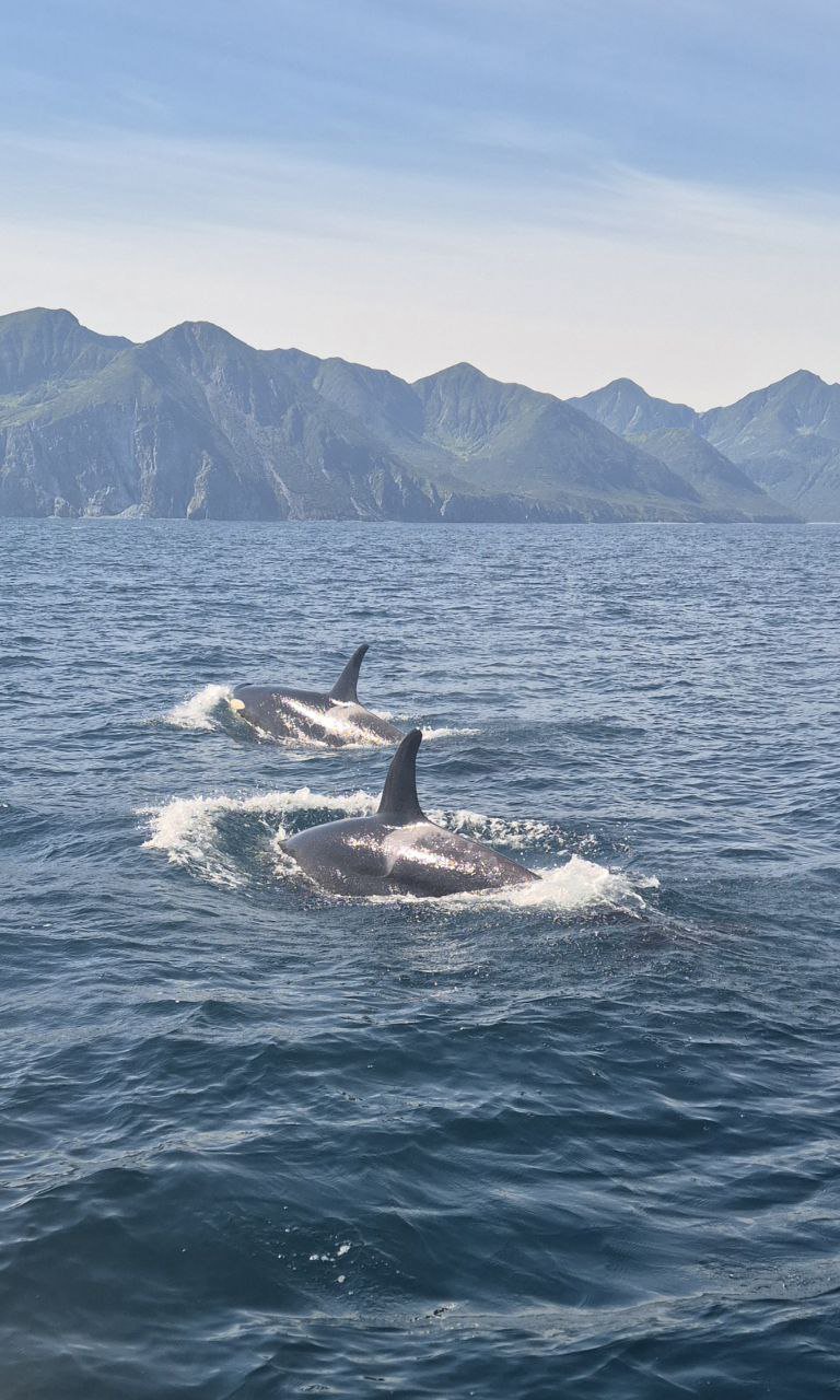 Активный тур на Камчатку с комфортом (4/29)