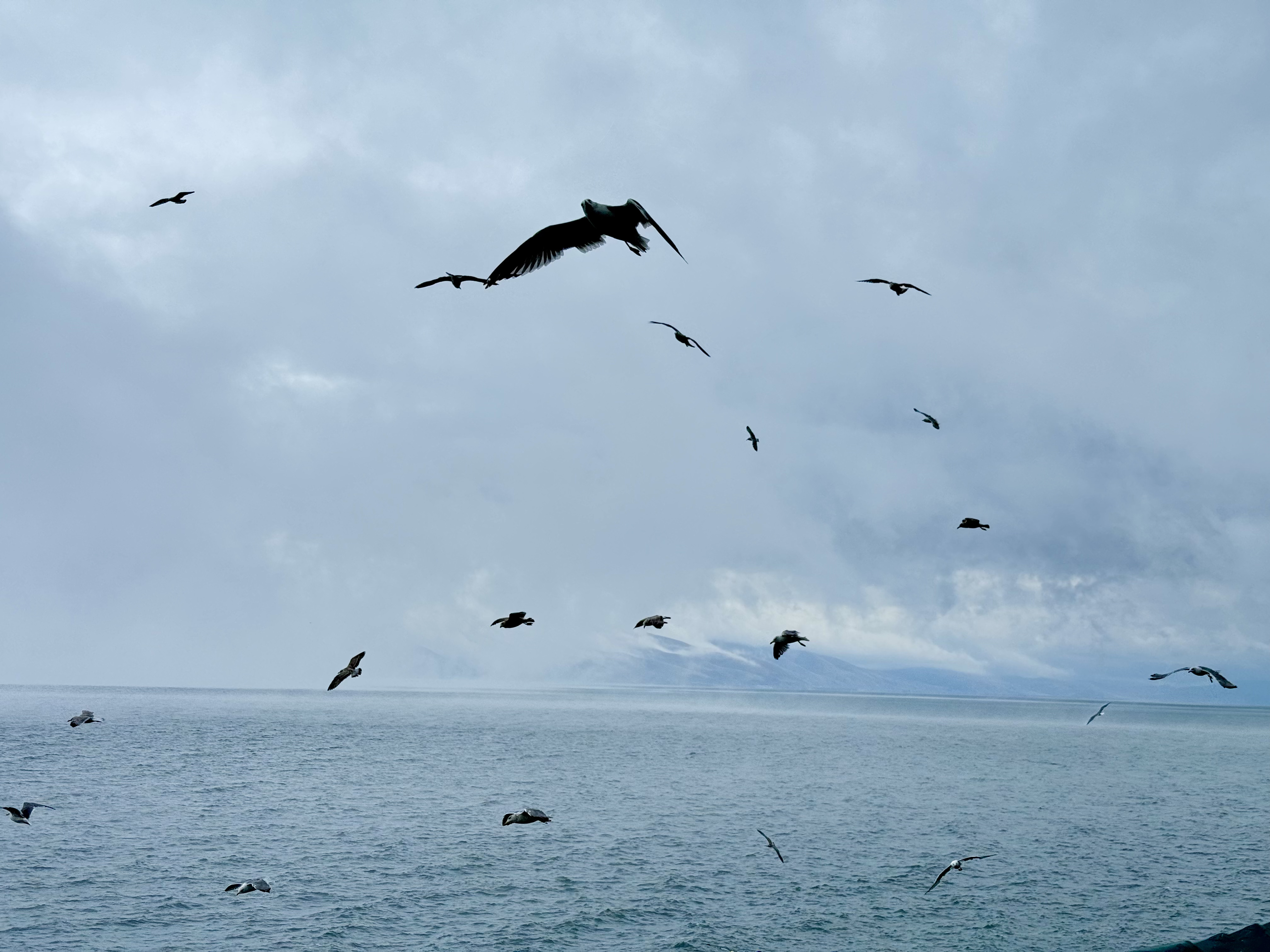 Джан-трип: Армения между храмами и тостами (6/52)