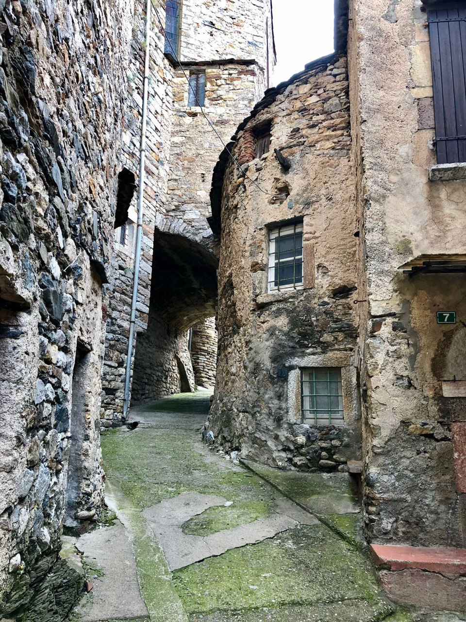 Юг Франции: вино, устрицы и средневековые города. (13/17)