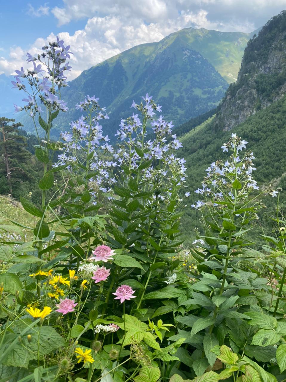 Архыз Про. Треккинг по горным озёрам (57/58)