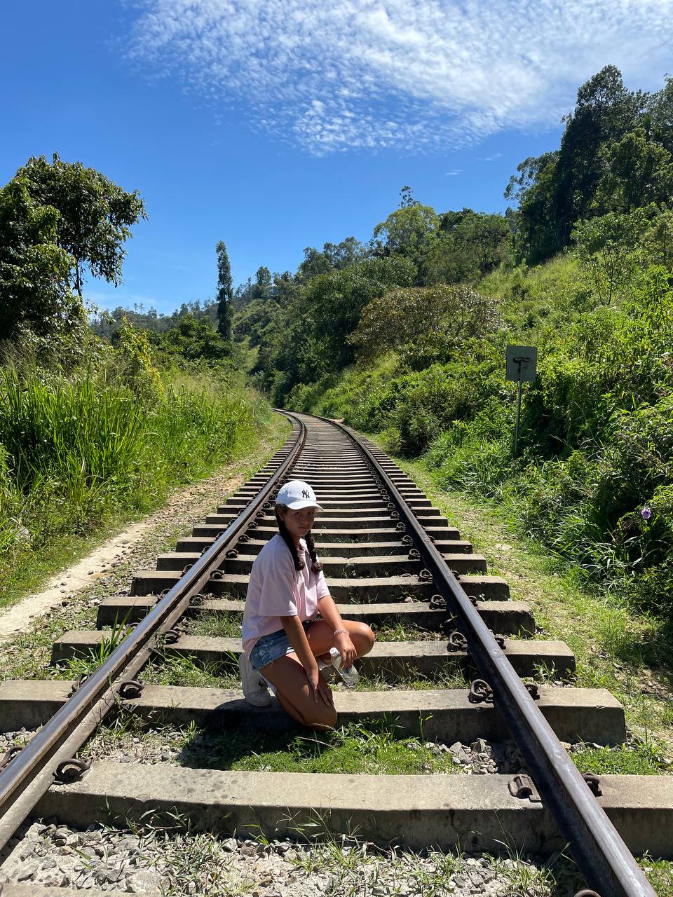 Чарующая Элла + слоновий питомник Удавалаве забираем из любого города Шри-Ланки (13/15)