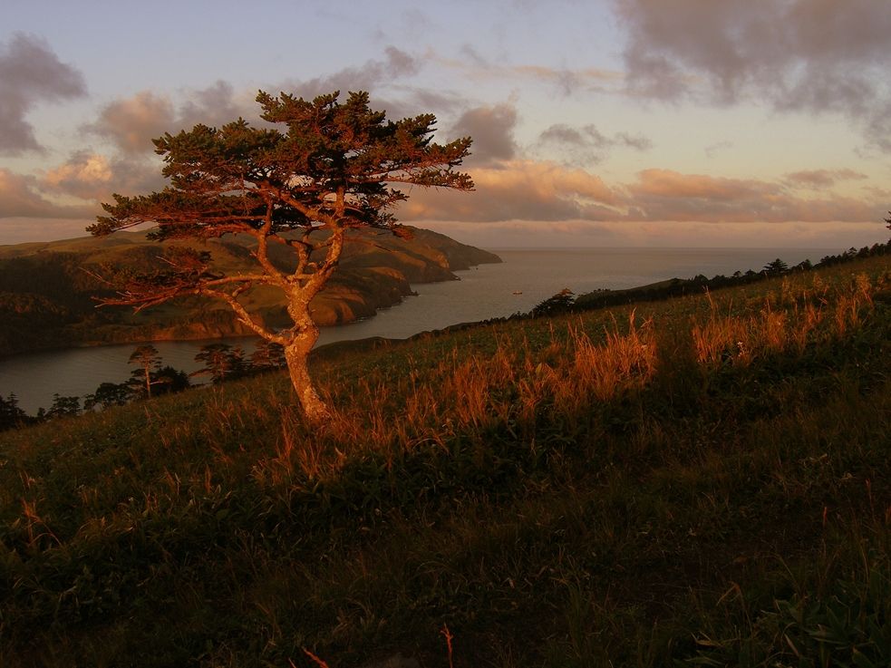 Поход по Шикотану + морской круиз на Кунашир и Итуруп (30/39)