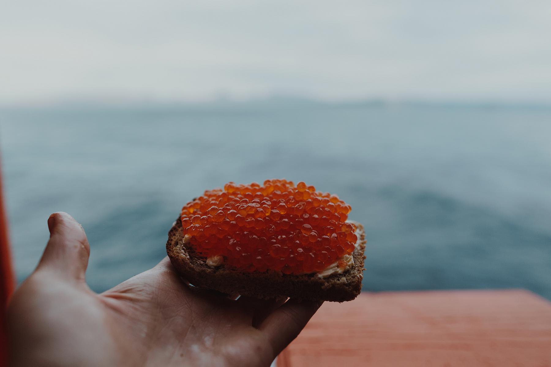 Поход по Шикотану + морской круиз на Кунашир и Итуруп (34/39)