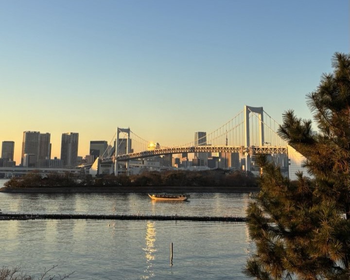 Аутентичная Япония с отдыхом на горячих источниках (8/33)