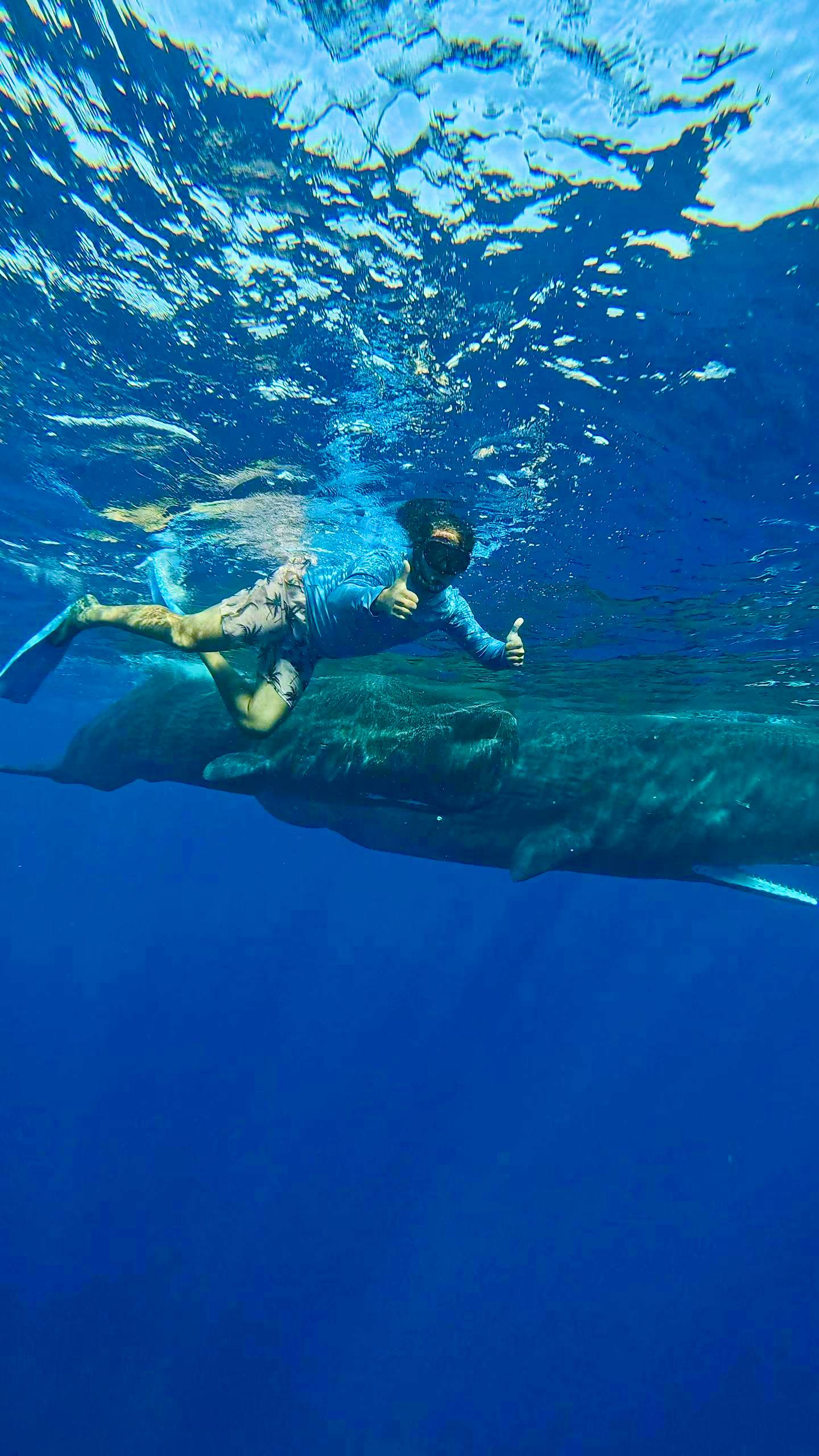 Маврикий Приключения на острове: киты, дельфины, водопады, океан, снорклинг, трекинги (20/38)