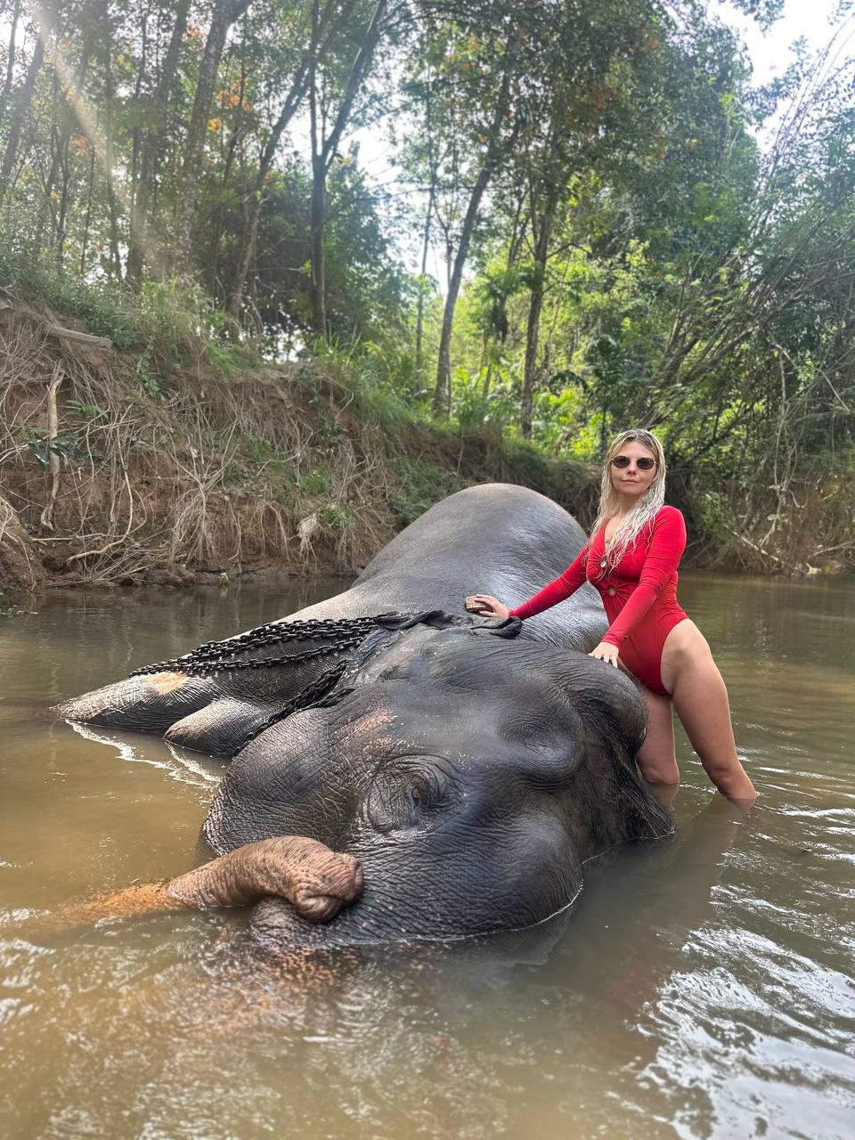 Сердце острова + слоны Пиннавела 2 дня с любого города Шри-Ланки (14/21)