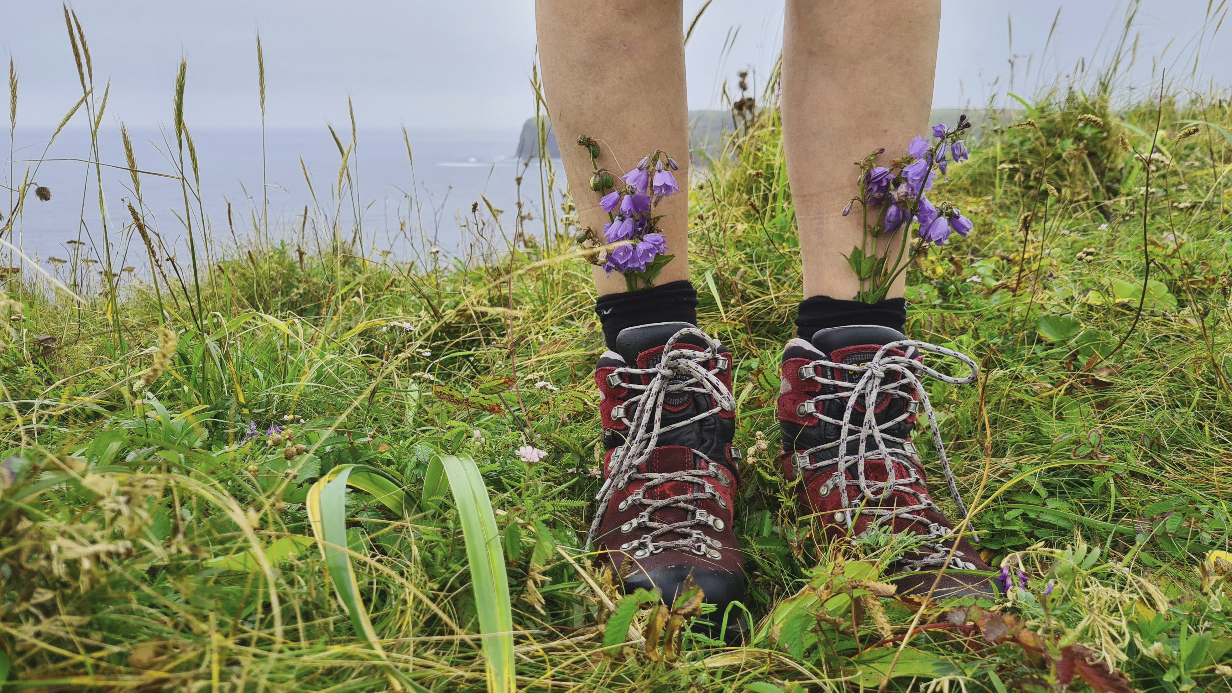 Поход по Шикотану + морской круиз на Кунашир и Итуруп (25/39)