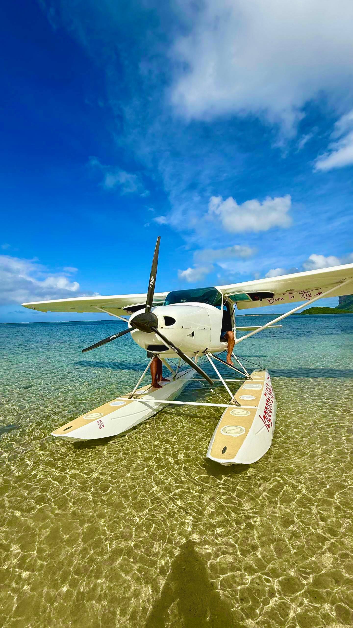 Маврикий Приключения на острове: киты, дельфины, водопады, океан, снорклинг, трекинги (27/38)