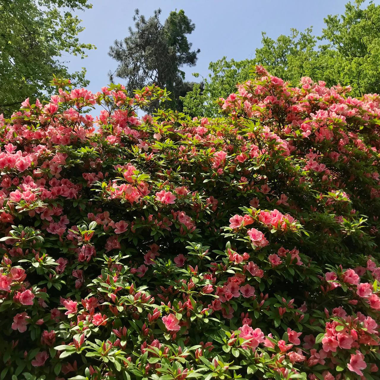 Тур к Ноевому Ковчегу. Древняя Армения и Грузия на территории Турции (32/33)