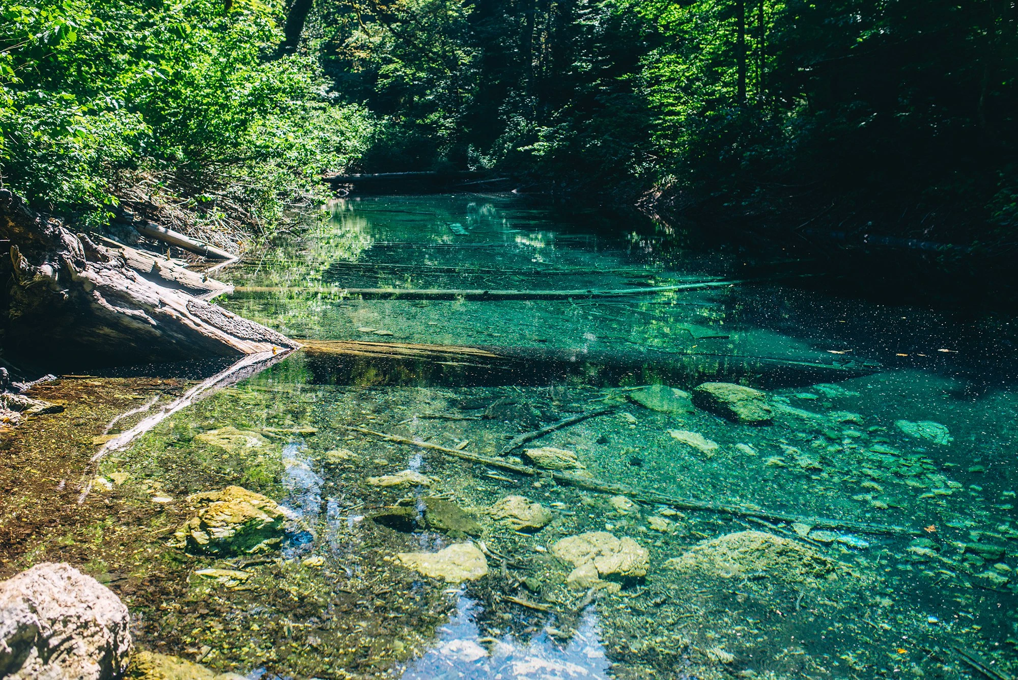 Джунгли, перевалы и горные вершины Арабики. Поход по нетуристической части Абхазии (35/45)