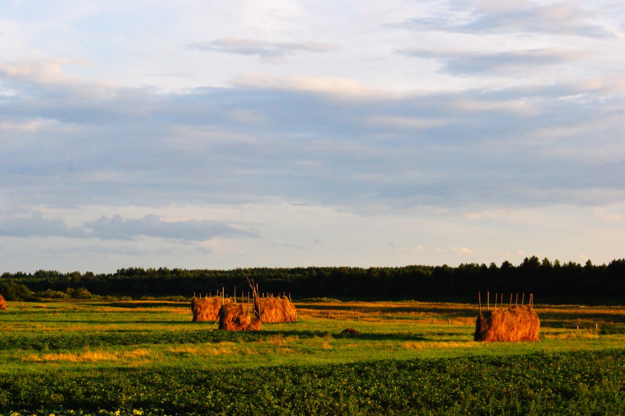 Пинега. В начале было слово. 1 этап (24/24)