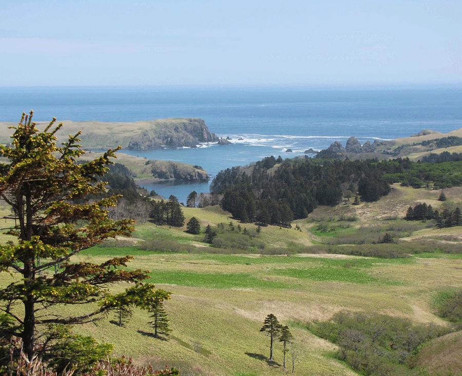 Поход по Шикотану + морской круиз на Кунашир и Итуруп (23/39)