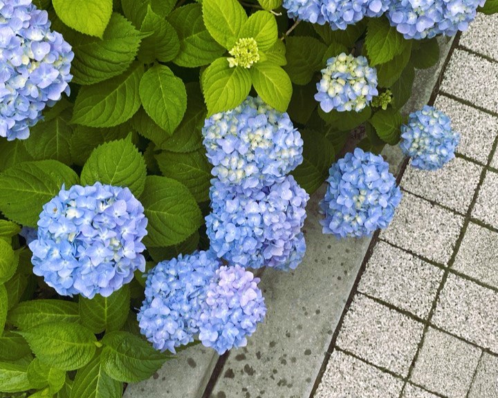 Аутентичная Япония с отдыхом на горячих источниках (14/33)