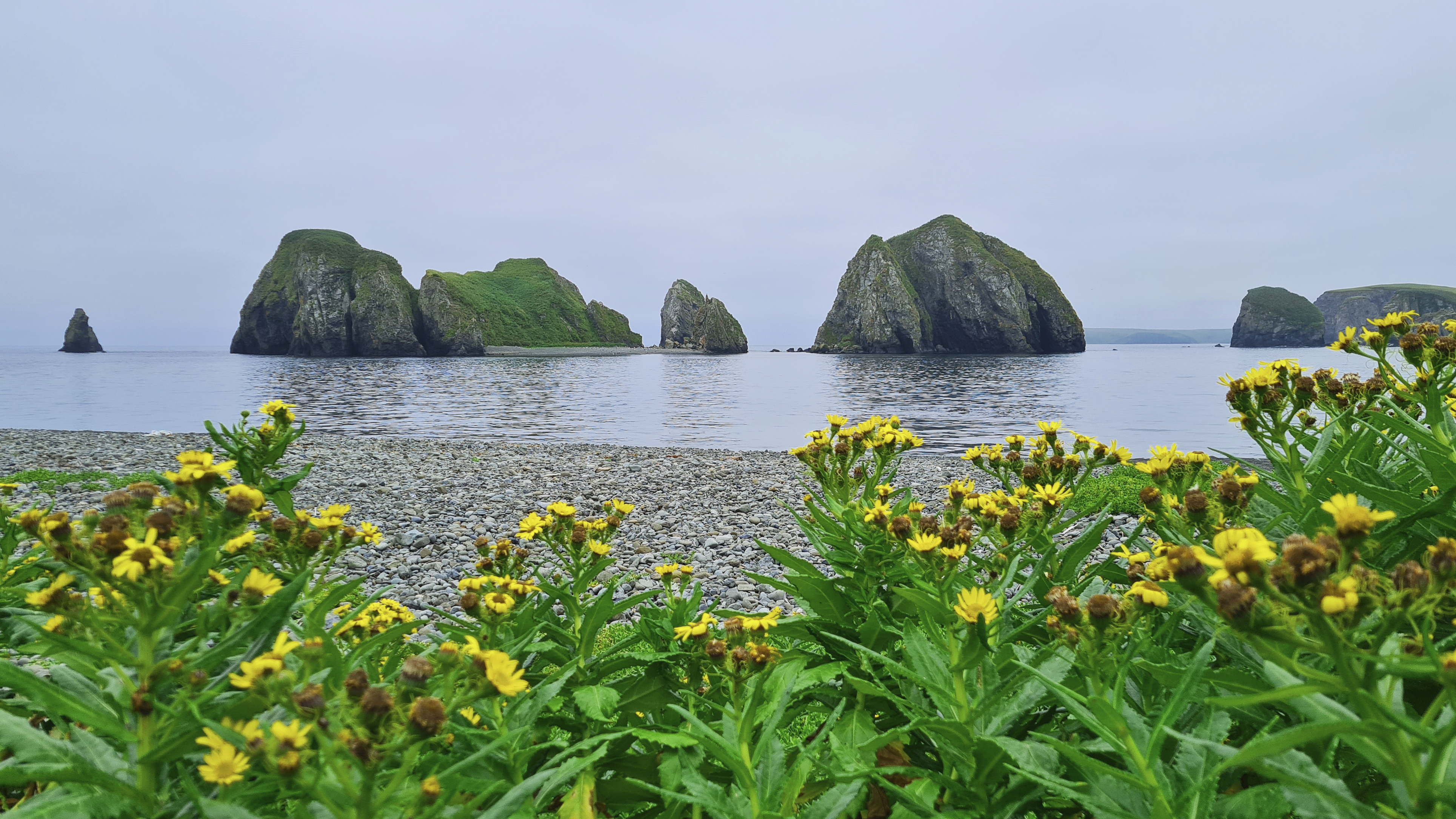 Поход по Шикотану + морской круиз на Кунашир и Итуруп (28/39)