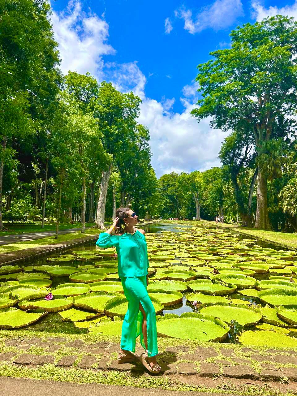 Маврикий Приключения на острове: киты, дельфины, водопады, океан, снорклинг, трекинги (32/38)