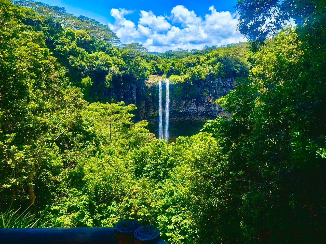 Маврикий Приключения на острове: киты, дельфины, водопады, океан, снорклинг, трекинги (21/38)