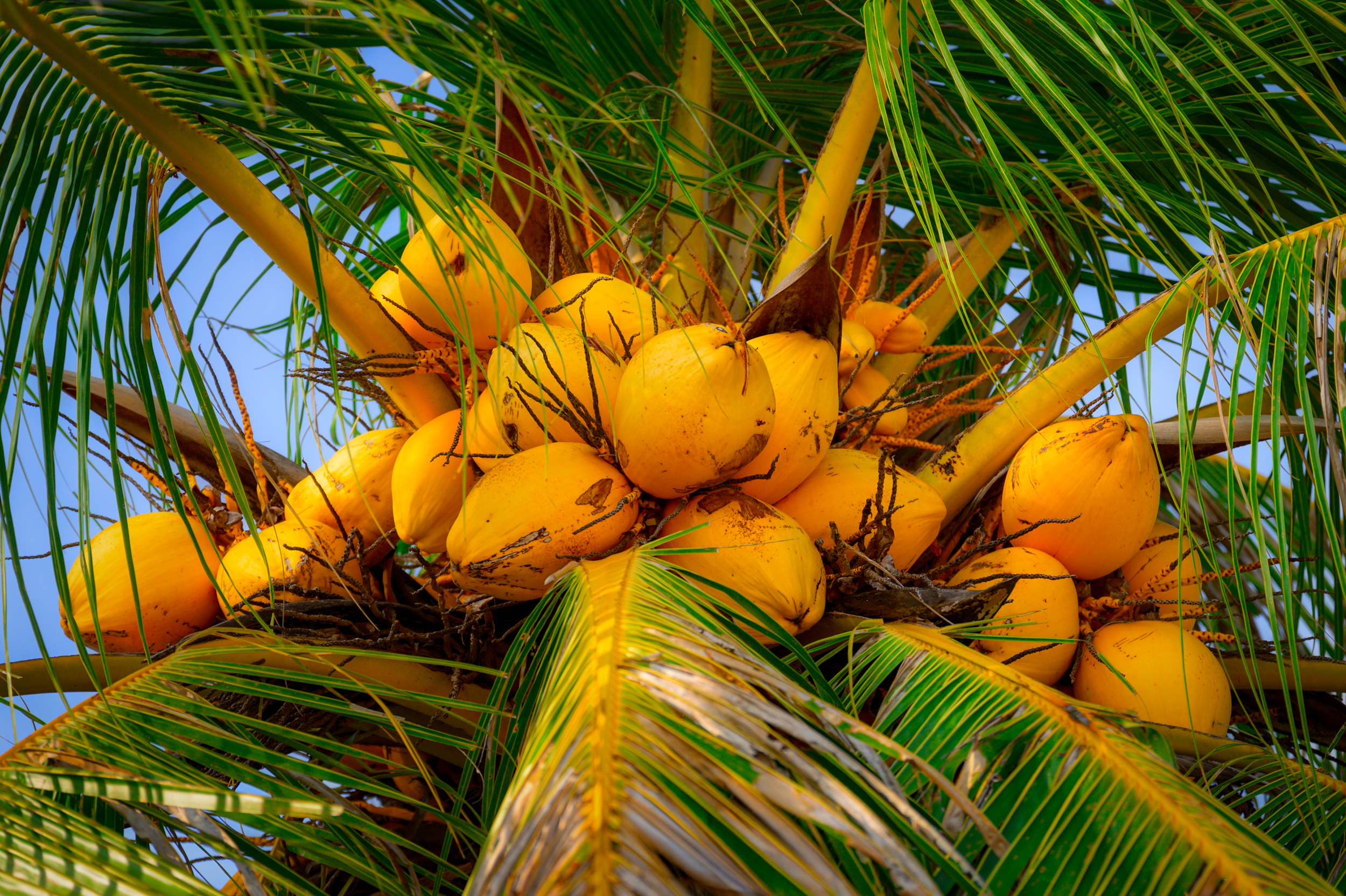 Сингапур — Малайзия — Тайланд (18/57)