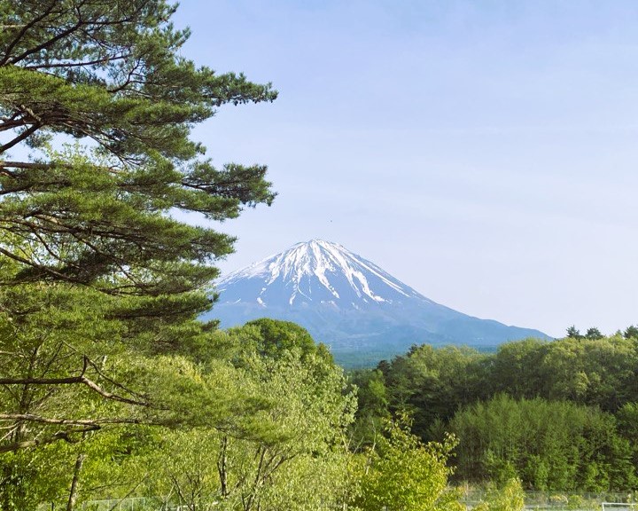 Аутентичная Япония с отдыхом на горячих источниках (18/33)