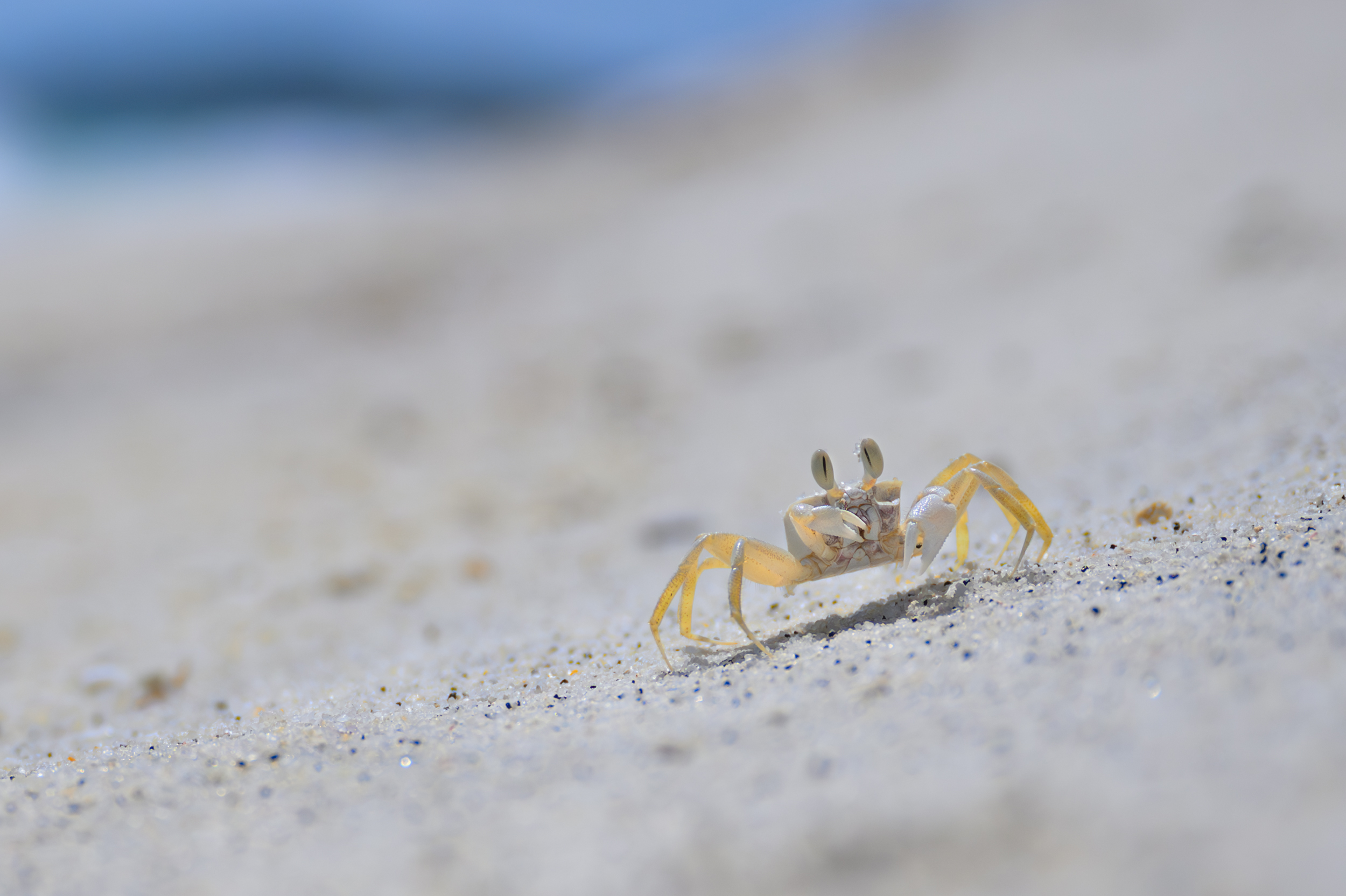 Сингапур — Малайзия — Тайланд (46/57)