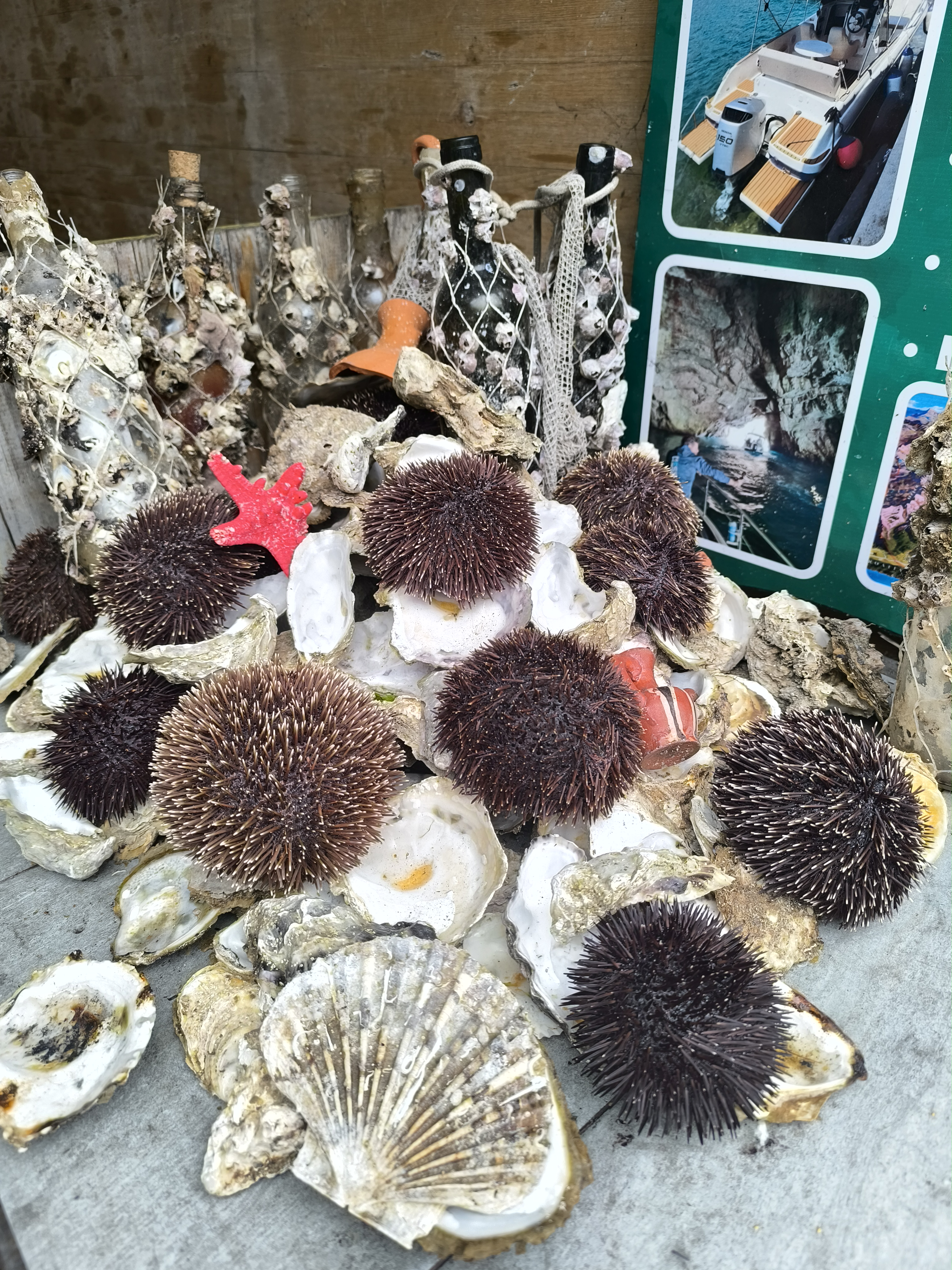 Черногория: Ваш побег от рутины в мир венецианской эстетики и заповедных гор. (8/29)