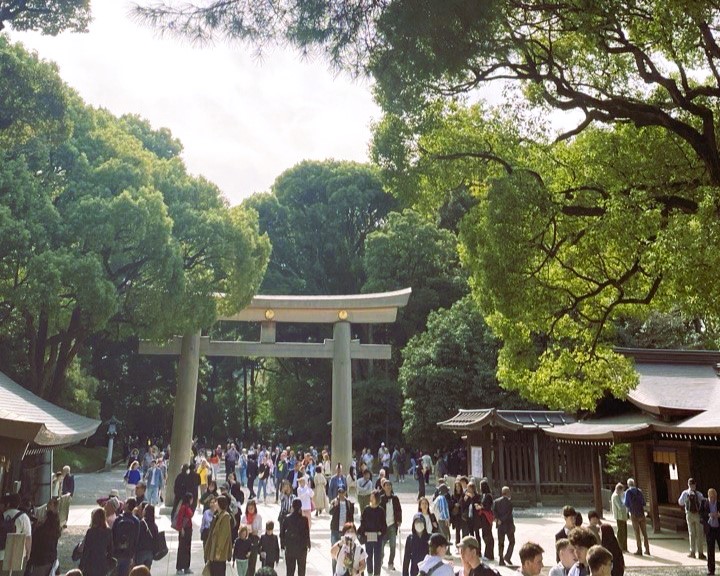 Аутентичная Япония с отдыхом на горячих источниках (12/33)