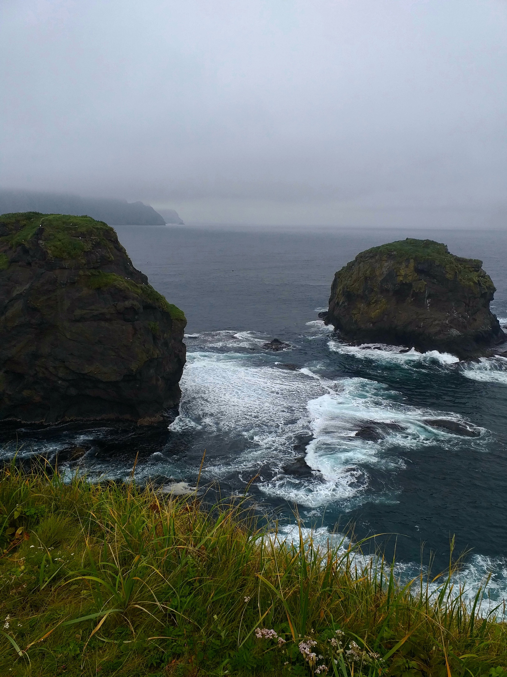 Поход по Шикотану + морской круиз на Кунашир и Итуруп (32/39)