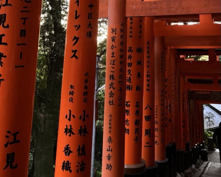 Аутентичная Япония с отдыхом на горячих источниках (22/33)