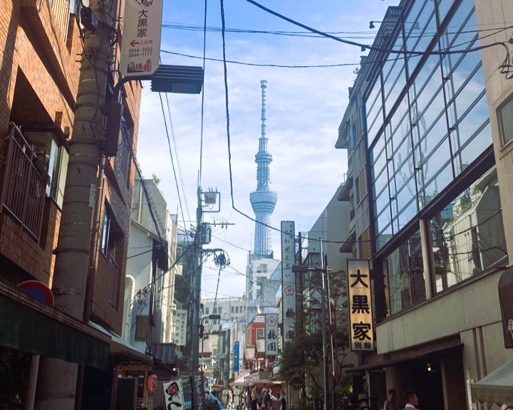 Аутентичная Япония с отдыхом на горячих источниках (11/33)