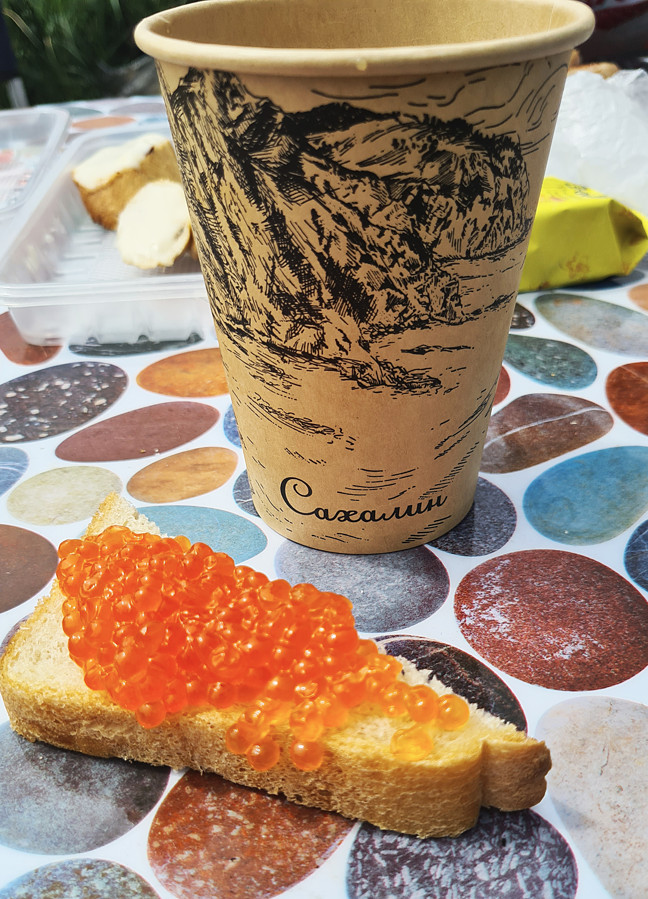 Поход по Шикотану + морской круиз на Кунашир и Итуруп (4/39)