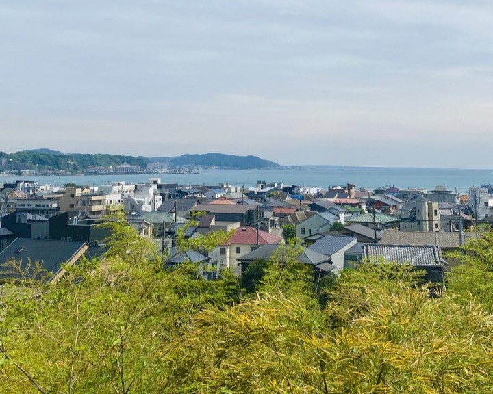 Аутентичная Япония с отдыхом на горячих источниках (16/33)