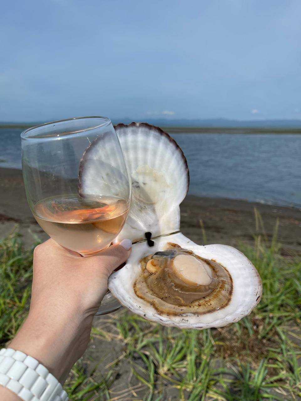 Сахалин и Курилы: Край огненной Земли и диких морей (стандарт) (4/21)