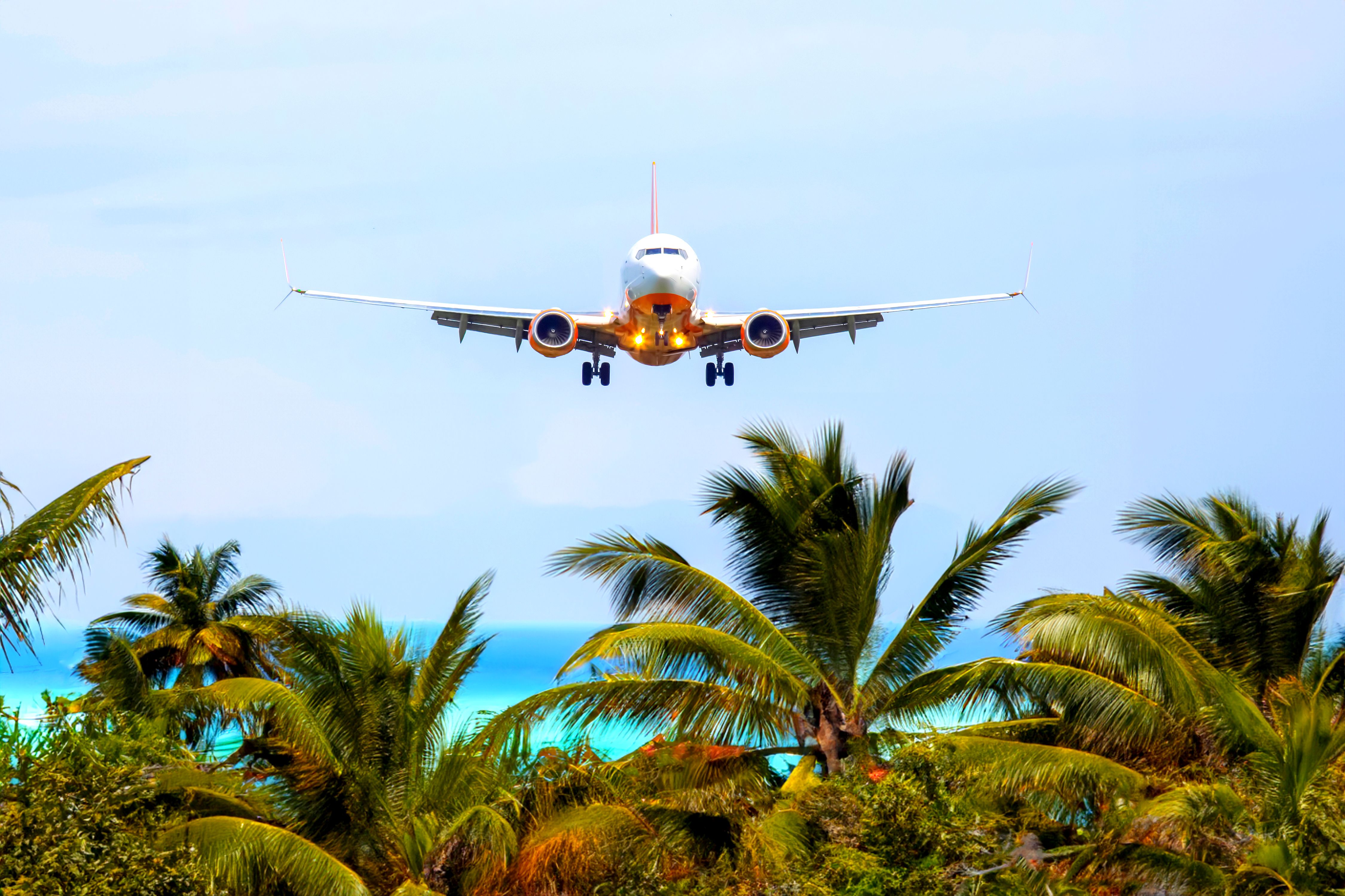 Мексика Галапагосские острова - поцелуи с китами (48/48)