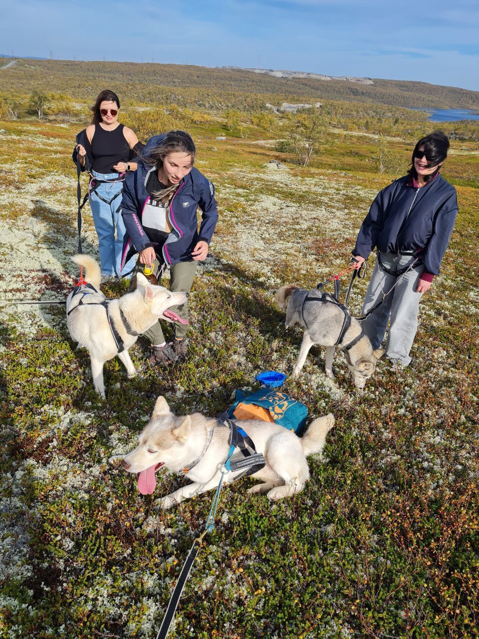 Премиум Териберка до 6 чел. Киты, Отель на берегу, Деликатесы, Сафари на квадрациклах (19/35)