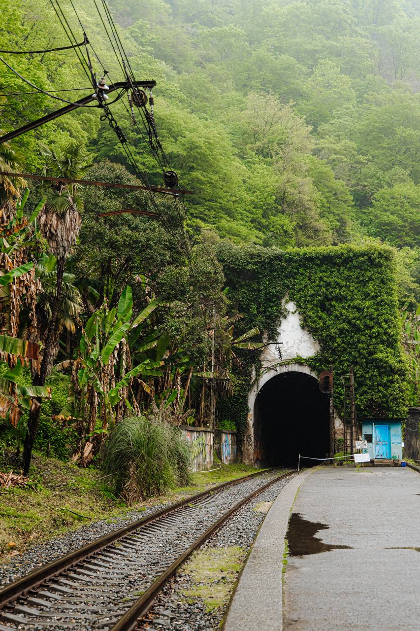 Праздничные дни  в Абхазии (9/10)