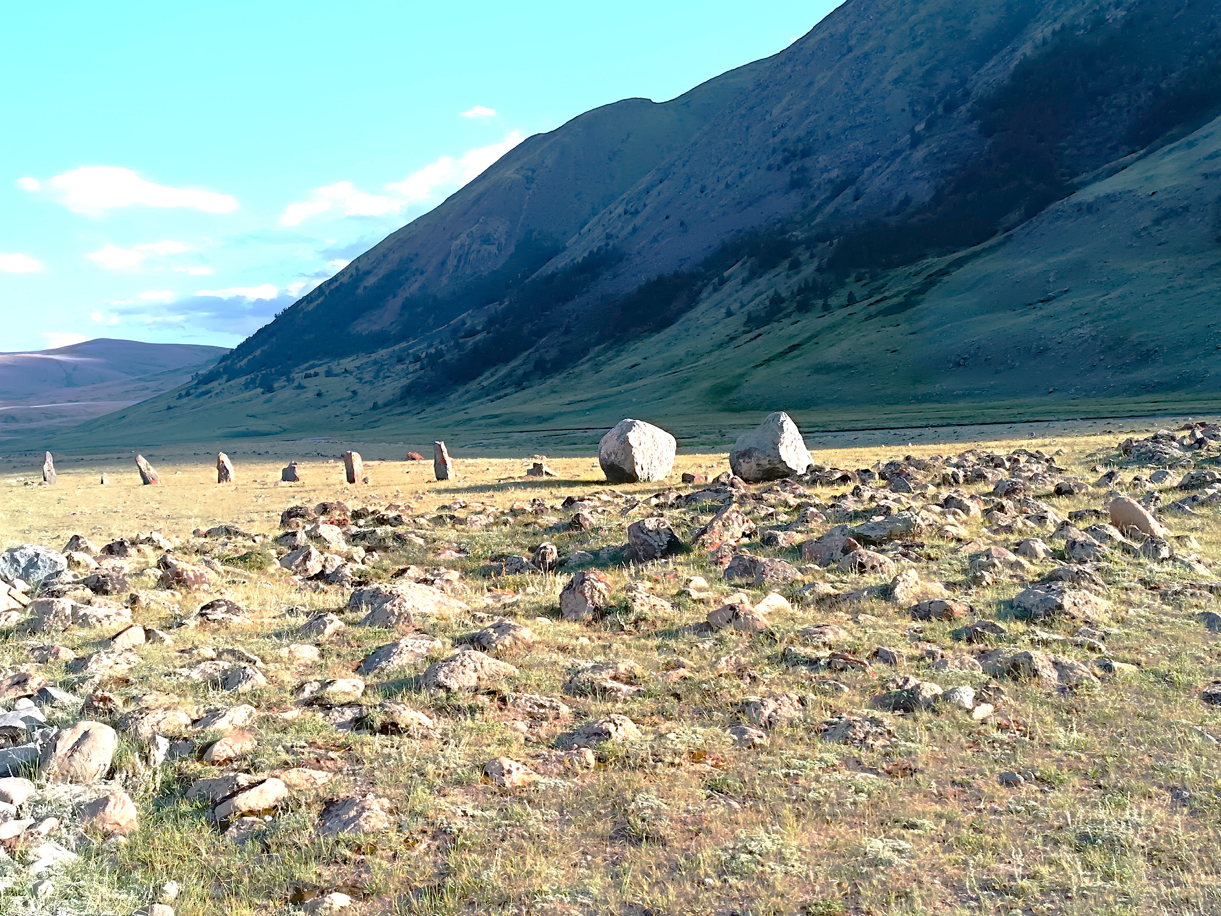 Тур по горному Алтаю  Цветение  маральника (8/17)