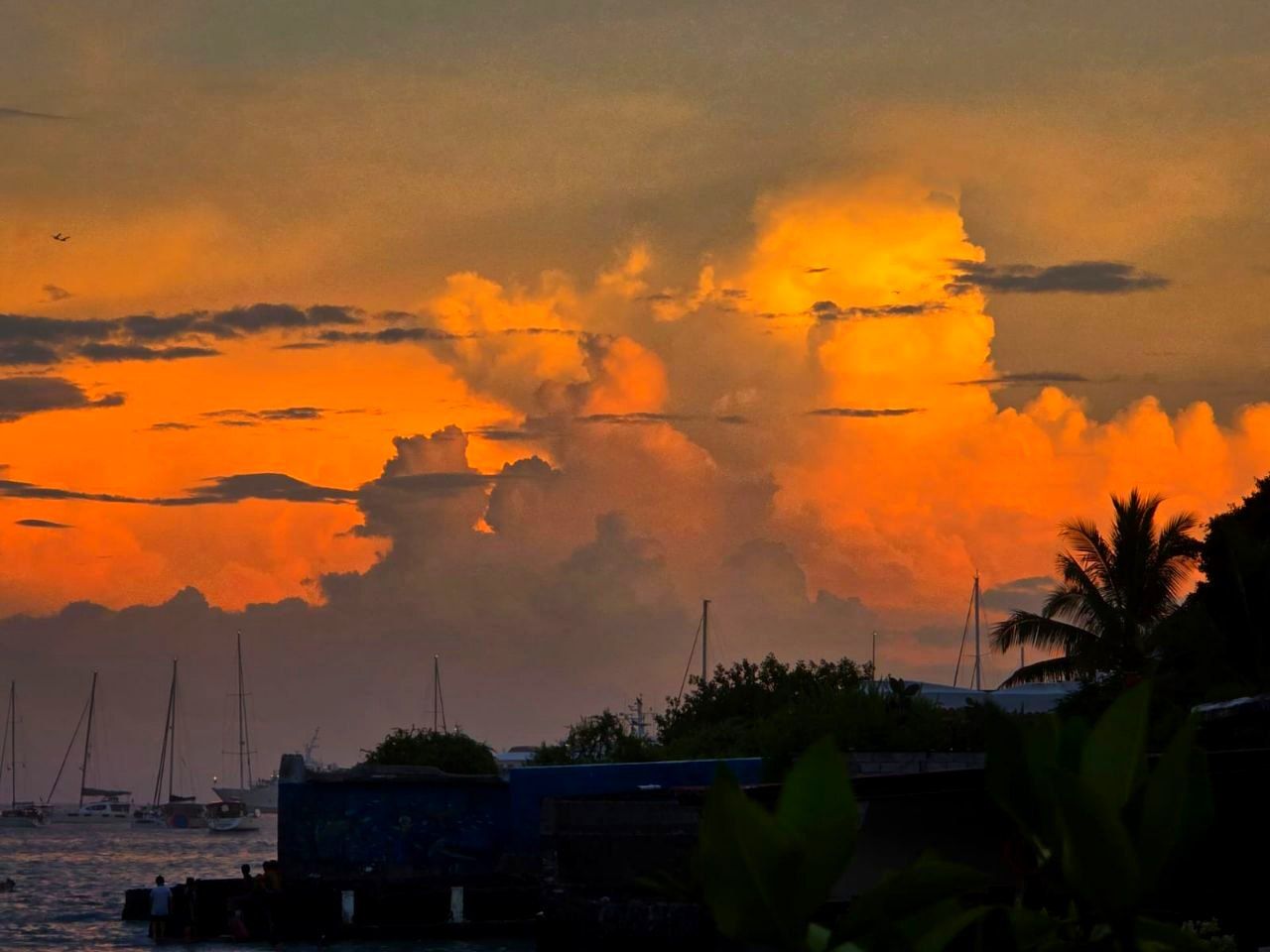 Мексика Галапагосские острова - поцелуи с китами (35/48)