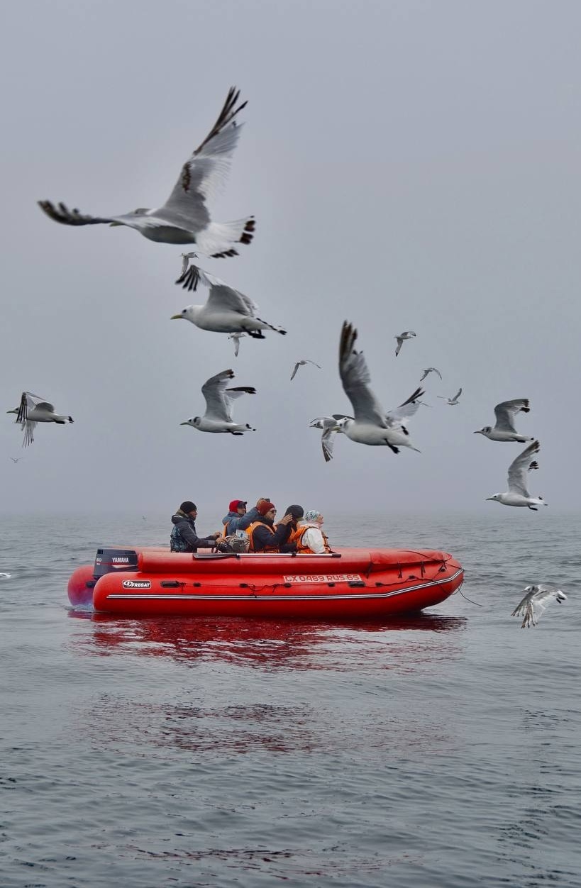 Сахалин и Курилы: Край огненной Земли и диких морей (стандарт) (18/21)