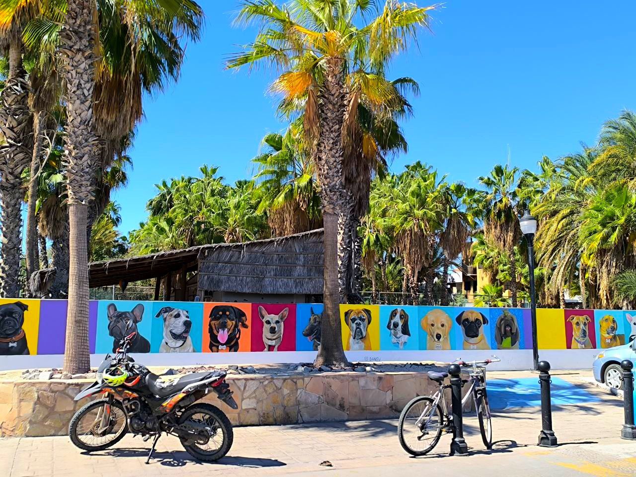 Мексика Галапагосские острова - поцелуи с китами (21/48)