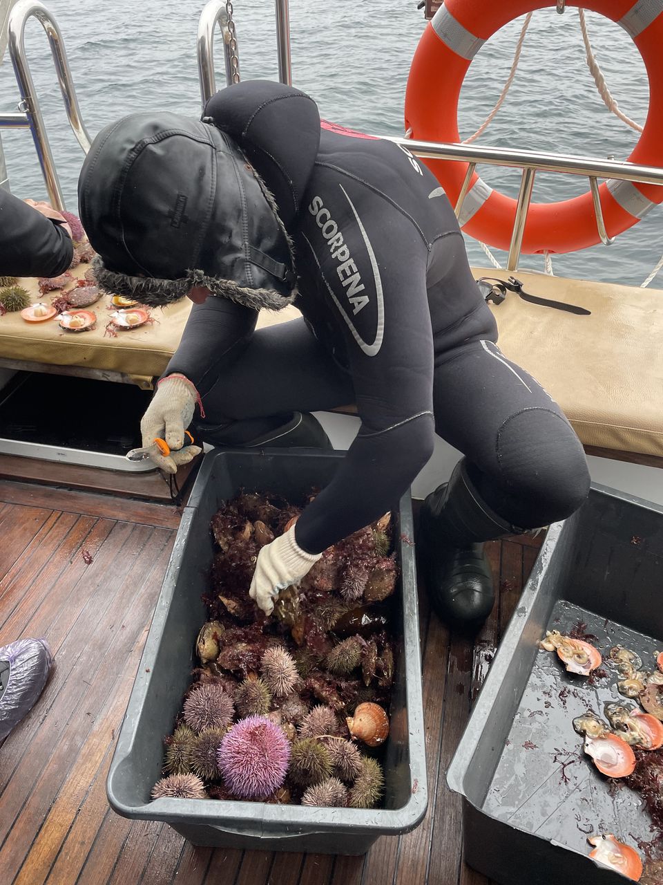 Премиум Териберка до 6 чел: киты, отель на берегу, деликатесы, сафари на квадроциклах