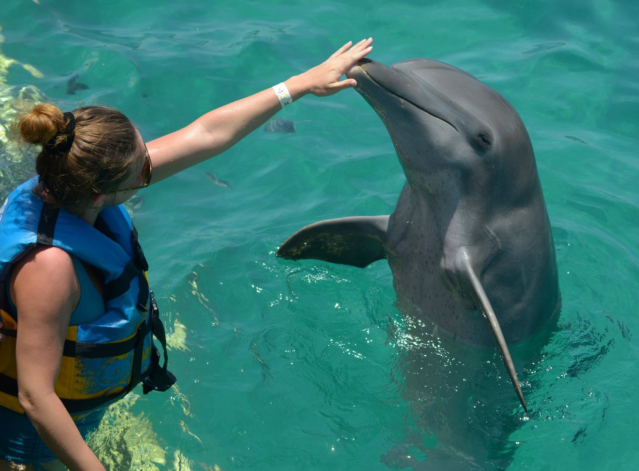 Ура! Каникулы на Мальдивах с сексологом и гипнологом!