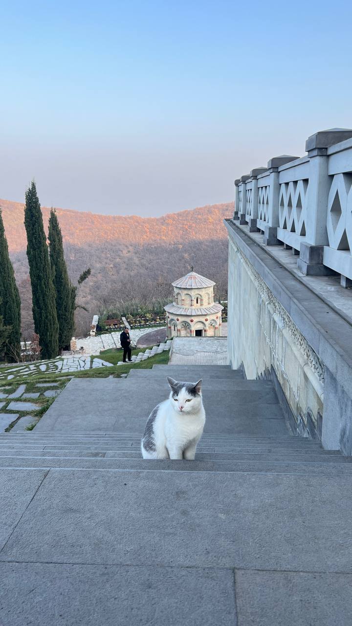 Грузия: от столицы до моря. 8 дней (7/24)