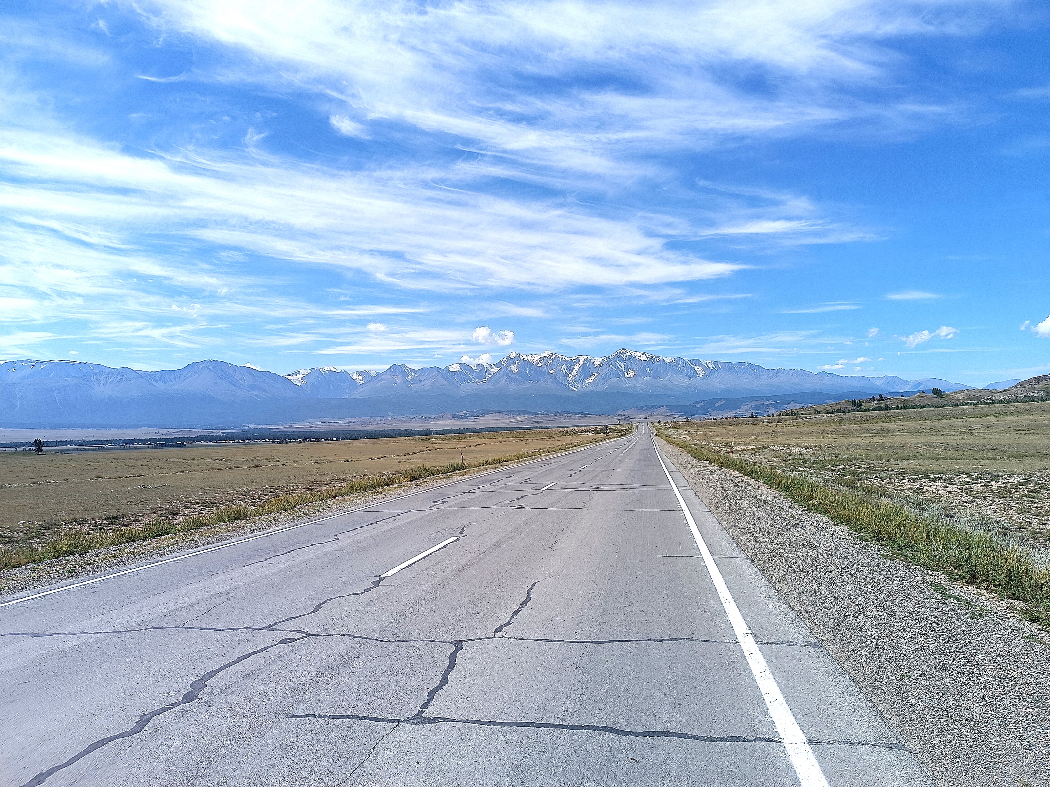 Тур по горному Алтаю  Цветение  маральника (9/17)