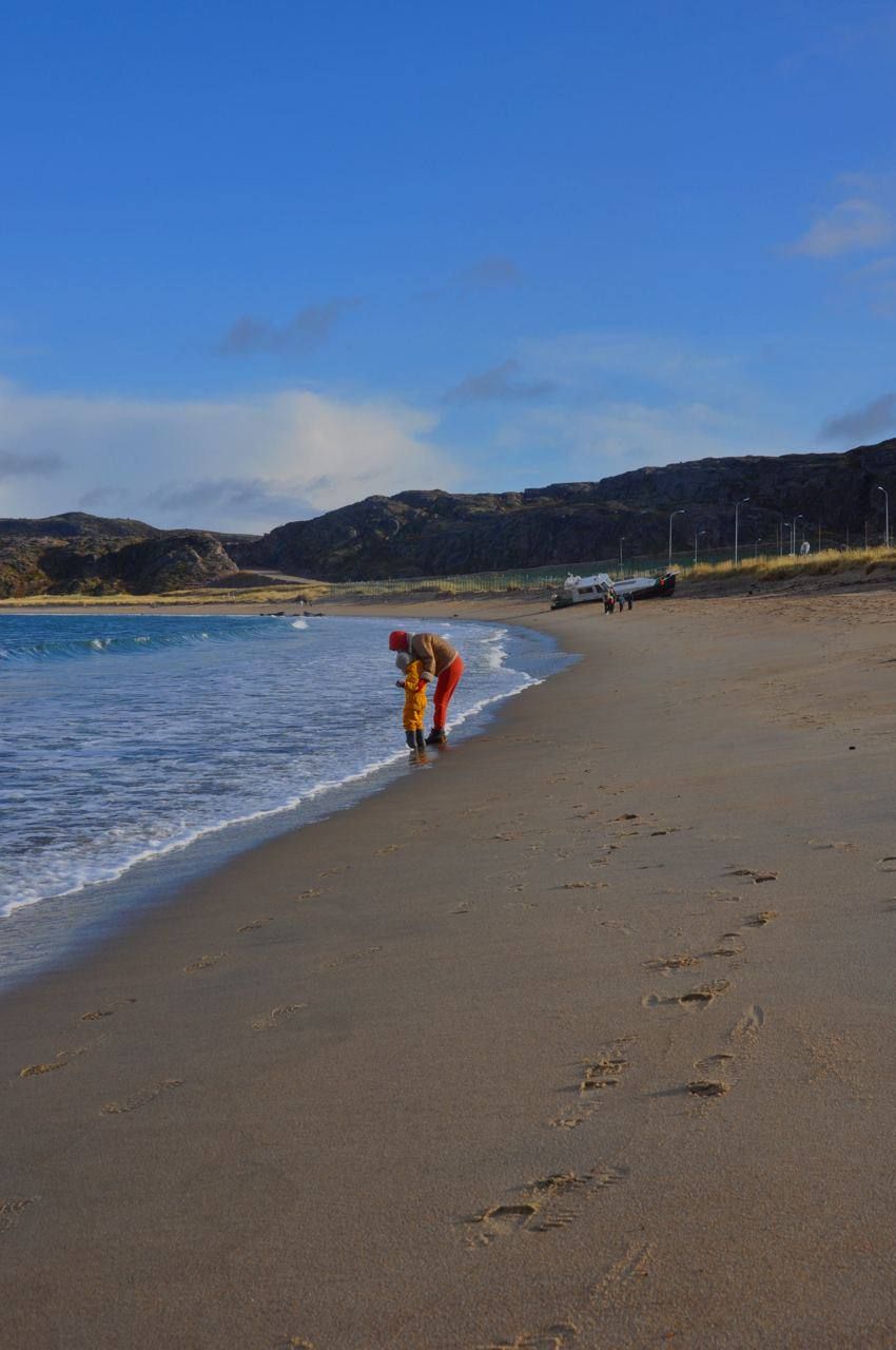 Премиум Териберка до 6 чел. Киты, Отель на берегу, Деликатесы, Сафари на квадрациклах (14/35)
