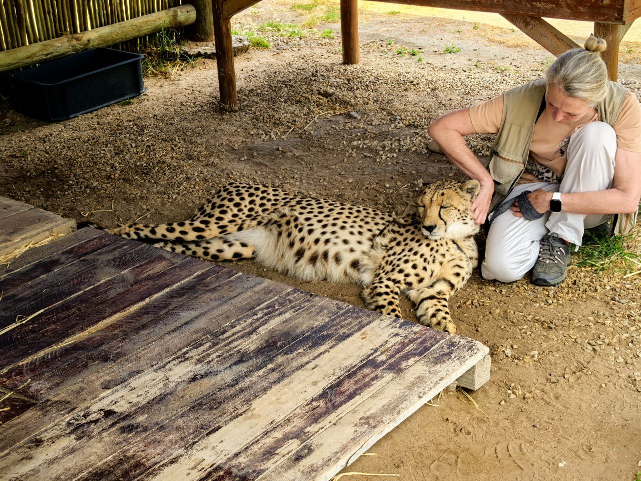 Кейптаун. Пополняем коллекцию впечатлений (24/30)
